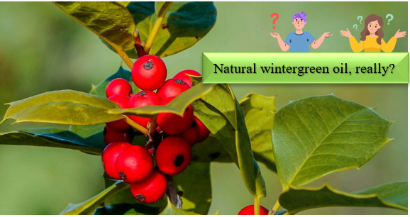 „Wintergreen“ aliejus – kaip galima atpažinti sintetinius ingredientus ir patikrinti jų natūralumą?