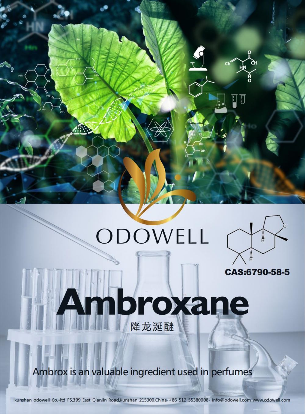 Odowellas švenčia sėkmingus Ambroxane (Ambrox) metus