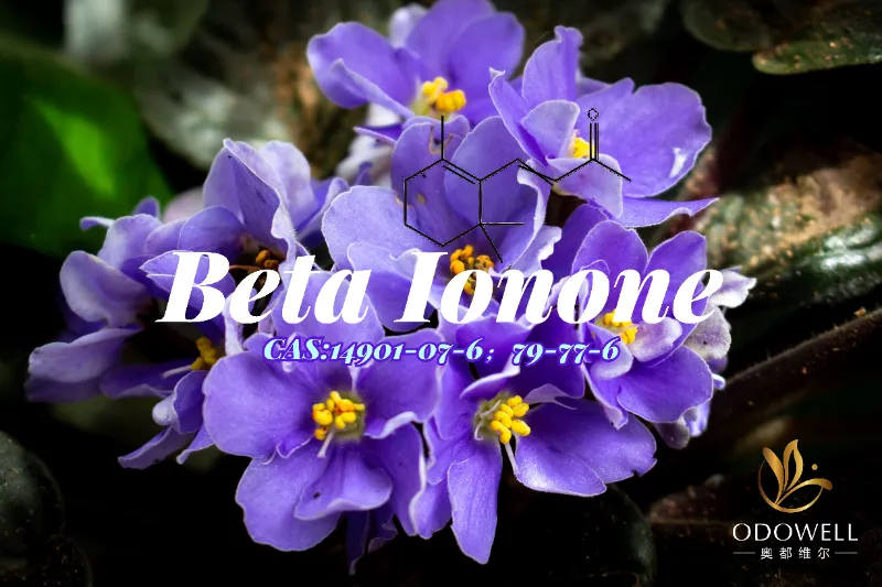 Beta Ionone – klasikinis ODOWELL violetinis-medinis ketonas, skirtas subtiliam kvapo gyliui