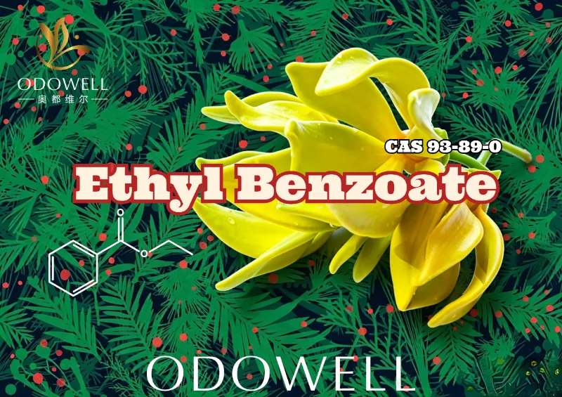 ODOWELL pristato etilo benzoatą: šiltą žiemos žalių ir ylang esterių gėlių ir rytietiškos elegancijos
