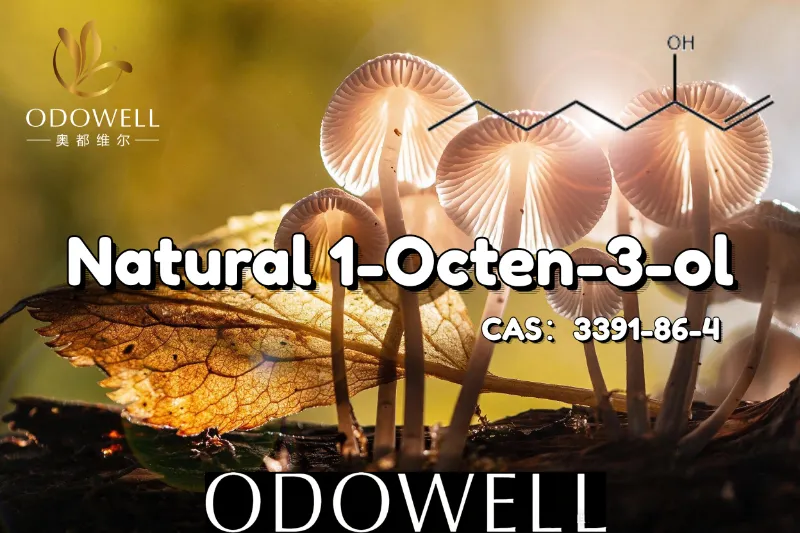 ​ODOWELL rekomenduoja natūralų 1-Octen-3-ol grybų ir žemiško skonio pritaikymui