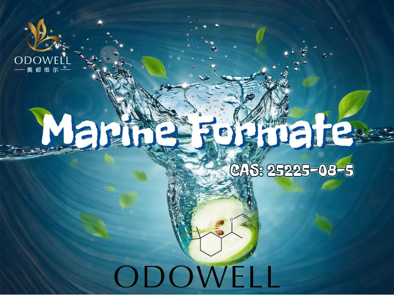 ODOWELL rekomenduoja jūrinį formatą kaip naujos kartos jūrinio medienos aromato ingredientą