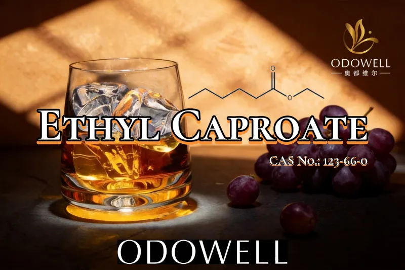 Ethyl Caproate 123-66-0